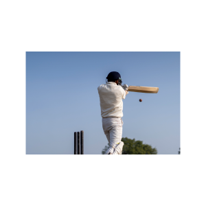 Cricket Grounds on Every Fan’s Mind: Tracking Canada’s Most Obsessed Provinces