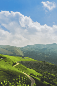 From Trekking to Treehouses: The Ultimate Adventure in Chikmagalur