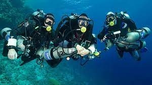Exploring the Depths: PADI Elearning & Zenobia Wreck Dive
