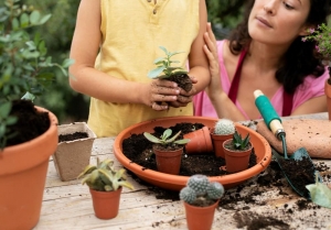 Monsoon Gardening Tips to Keep Your Home Garden Lush