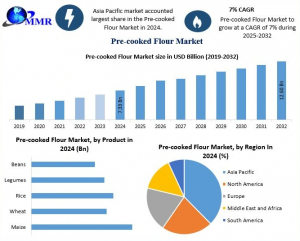 Pre-cooked Flour Market Forecast: Growth Potential Across North America, Europe, and Asia-Pacific