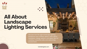 Everything You Need to Know About Landscape Lighting Services