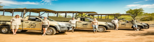 Kruger National Park Safari Tours: Unforgettable Wildlife Adventures in South Africa