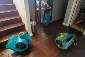 How Does a Basement Flood Cleanup Service Work?