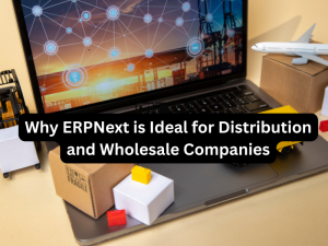Why ERPNext is Ideal for Distribution and Wholesale Companies