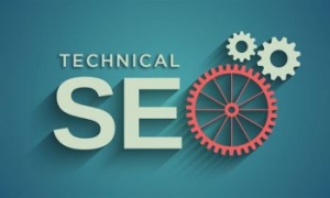 Why Every Business Needs a Dedicated SEO Service Provider