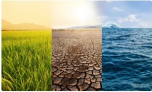 Climate Risk Management in UK