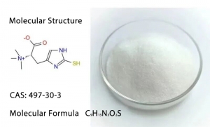 Navigating the Trillion-Billion Anti-Aging Market with Innovative Ingredients, Ushering in a New Era of Cellular Health