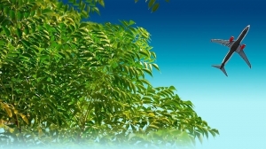 South Korea Sustainable Aviation Fuel Market Size, Share, Opportunity 2025-2033