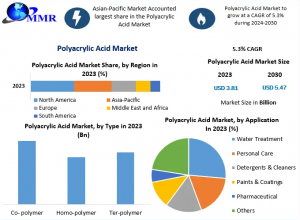 Polyacrylic Acid Market Forecast: Global Industry Growth and Competitive Analysis