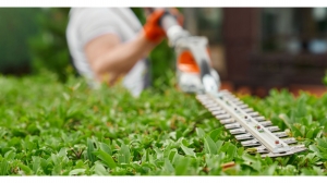 How Landscape Care and Maintenance Services Keep Your Yard Thriving