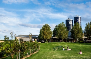 Wine Tour Adelaide: Your Ultimate Guide to Exploring South Australia’s Wine Regions