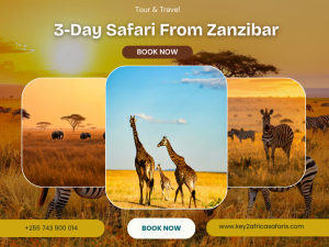 Unforgettable 3 Day Safari from Zanzibar – Serengeti, Ngorongoro & More