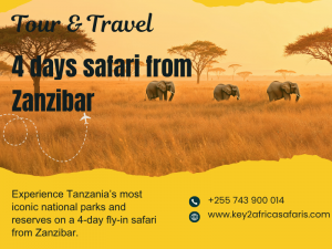 4 Days Safari From Zanzibar – Adventure Awaits!