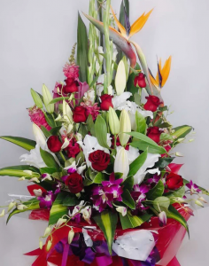 Christmas Blooms to Brighten Your Festive Season