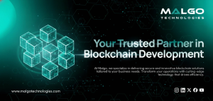 How a Blockchain Development Company Builds Secure Solutions?