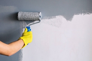 Quality Painting Madison WI: Transform Your Home with Expert Residential Painting