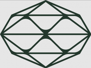 How Specialized Finance Recruiters Shape the Future of Business Leadership