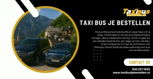 Taxibus Breukelen Comfort Ride: Group Travel