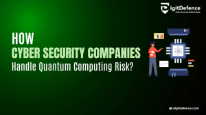 How Cybersecurity Companies Handle Quantum Computing Risks