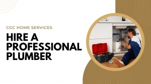 Top Qualities to Look for When Hiring a Professional Plumber