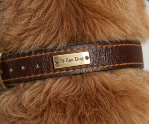 Add Personality to Your Pup: Benefits of a Customized Dog Collar with Name