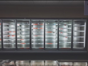 Why Should You Choose an Upright Freezer in Sydney for Your Business