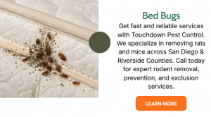 Anaheim Pest Control, Long Beach Pest Control, and Corona Pest Control: Keeping Home Pest-Free!