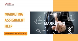 Tips for Choosing the Right Marketing Assignment Help Service 