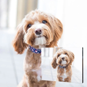 Tips for Perfecting Personalised Paint by Numbers Art