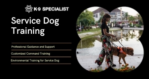 The Future of Dog Training in Florida: Trends to Watch