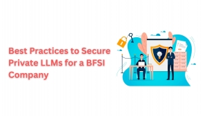 Best Practices to Secure Private LLMs for a BFSI Company