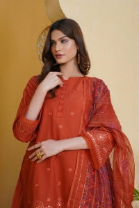 Explore Elegance with Shomi Global’s Exclusive Collections