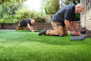 Everything You Need To Know About Artificial Grass Installation
