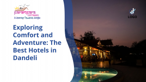Exploring Comfort and Adventure: The Best Hotels in Dandeli