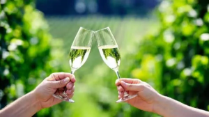 Hunter Valley Tours from Sydney: Corporate Team Building Packages