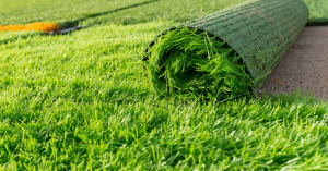 How Does the Feel and Texture of Artificial Grass Compare to Real Grass