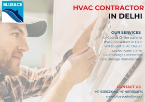 Where can I find the Top Cold Storage Services located in Delhi?