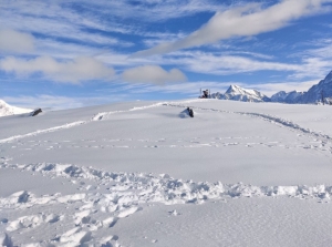 Walk the Quiet Path to Brahmatal — The Underrated Winter Wonderland