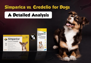 Simparica vs. Credelio for Dogs - Which One is Best Choice for Your Dogs?