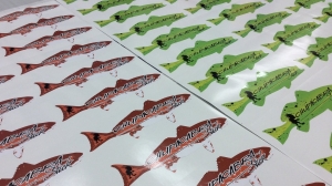 How Decals in San Antonio Are Helping Businesses to Make Bold Statements