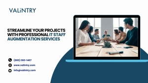 Streamline Your Projects with Professional IT Staff Augmentation Services