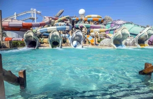 5 Reasons Why Kids Love Water Park Resorts