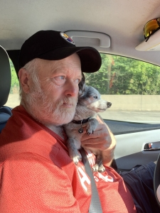 Why Alabama Is Becoming a Hotspot for Small Dog  Breeders?