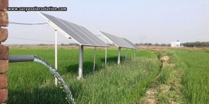 How To Choose The Right Solar Water Pump For Your Farm