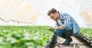 Eco-Friendly Farming Practices That Are Changing the Game