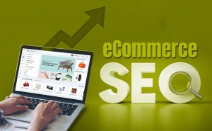 Wildnet Technologies: The Power of SEO for Ecommerce in Driving Online Sales