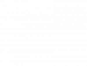 Explore Elegant Fashion Trends with Elisabetta Franchi and Kaos Jeans Online