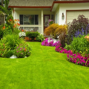 Landscaping Greenacres | Professional Tree Services, Hedge Trimming & Lawn Care
