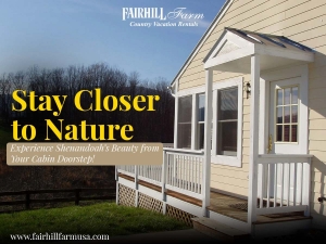 Scenic Retreats: Find the Perfect Rental Cabins near Shenandoah National Park